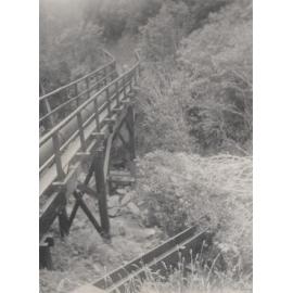 Bridge Carrying Pipe from Burns Creek Across Williams Creek