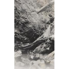 West Branch of Leith River After Flooding