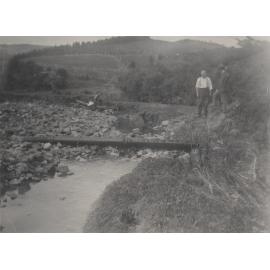 Leith Valley Near McKenna's