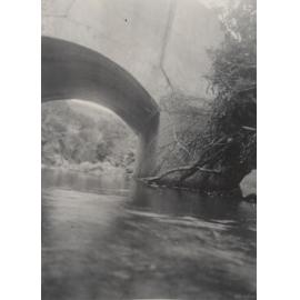 Concrete Bridge Near Booth's Leith Valley Road