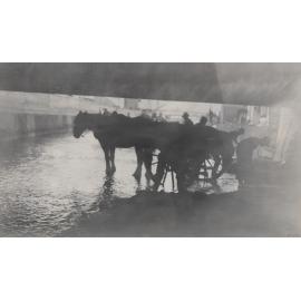 Leith River Under Forth Street Bridge