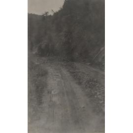 Acess Road at Mahinerangi Dam