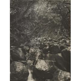 Morrison's Creek
