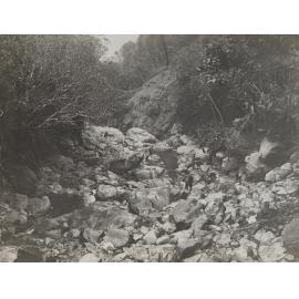 Morrison's Creek