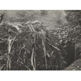 Cedar Creek Log Jam