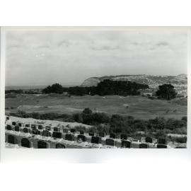 Chisholm Park Golf Links