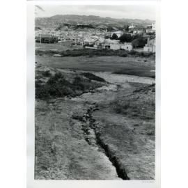 Chisholm Park Golf Links Damage