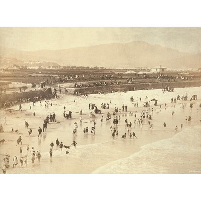 Ocean Beach Domain Board